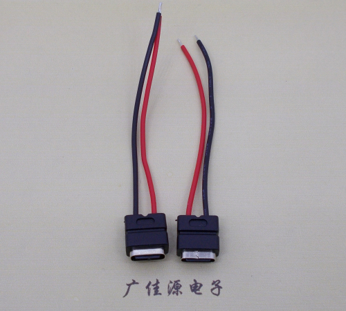 上海type c2p防水母座焊线式带线注塑成型带接线端子/不带接线端子充电连接器