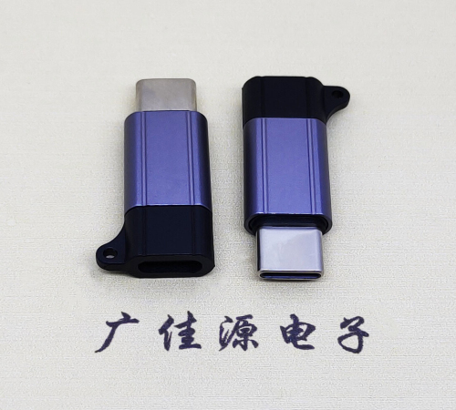 上海Type-C母转Type-C公 USB3.1 PD100W快冲接口